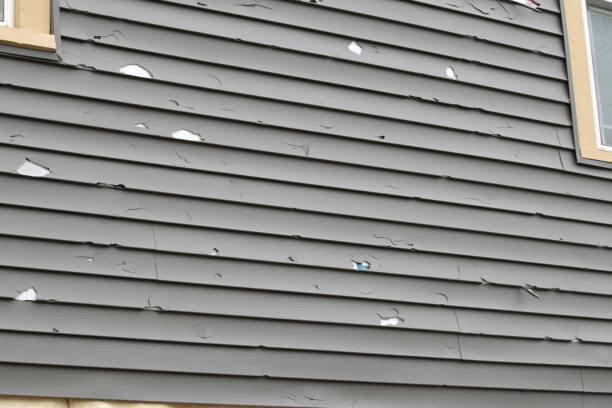 Best Shed Removal  in Marlboro, NY
